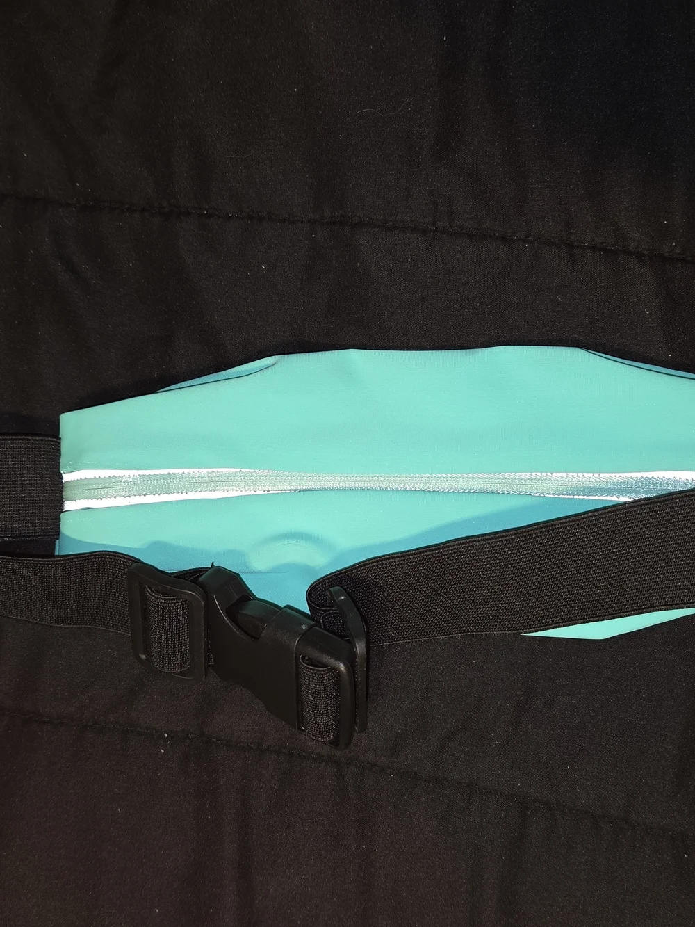 Sport Armband Phone Holder - Teal